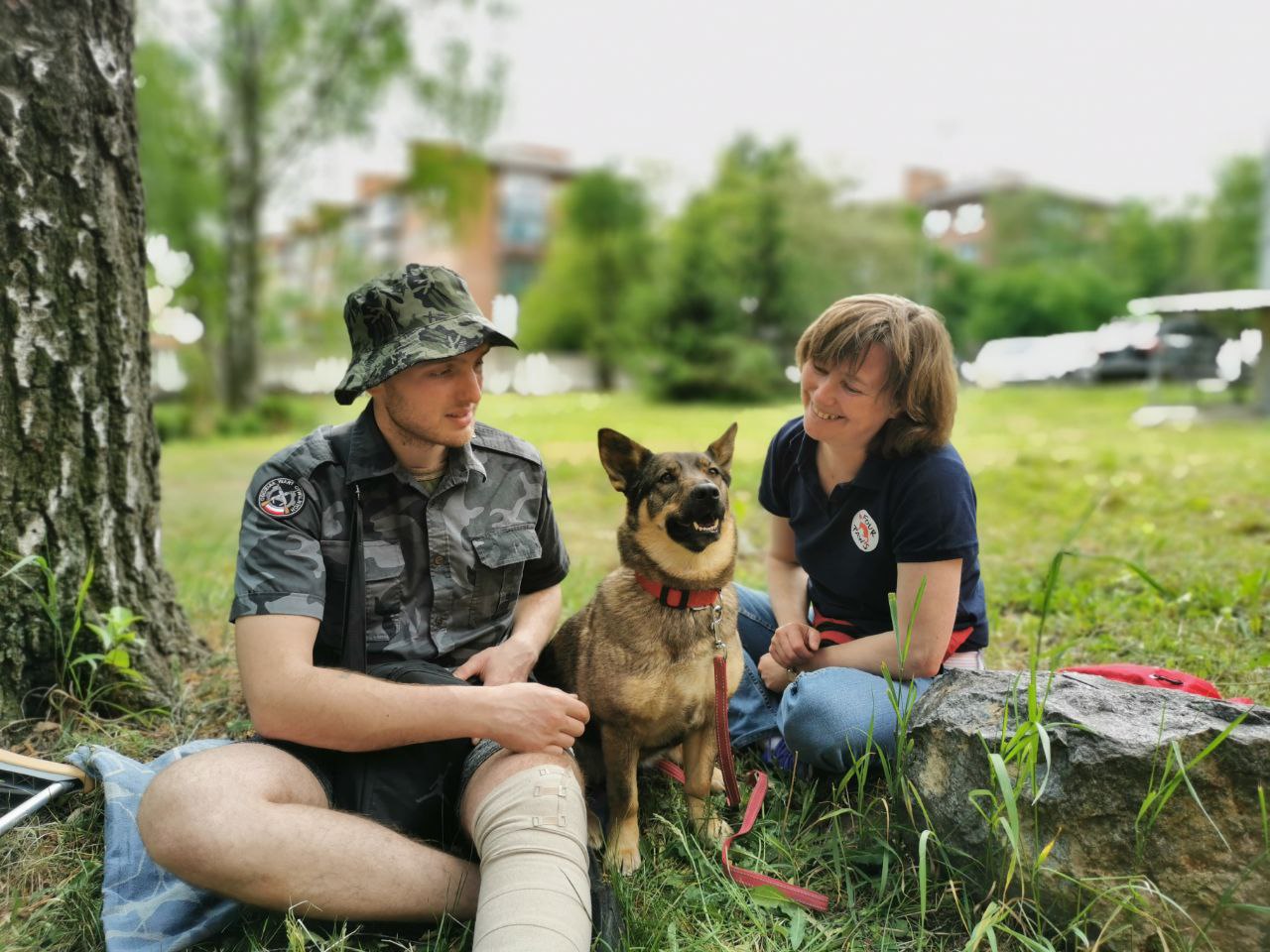 Stray Animal Care